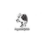 Pegasus Spiele